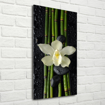 Tableau photo sur verre Orchidée et bambou