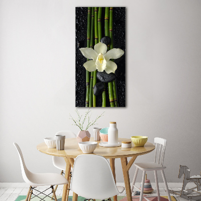 Tableau photo sur verre Orchidée et bambou