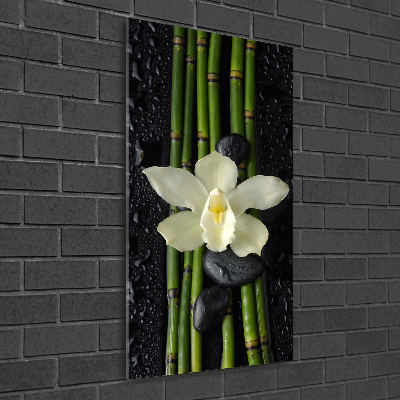 Tableau photo sur verre Orchidée et bambou