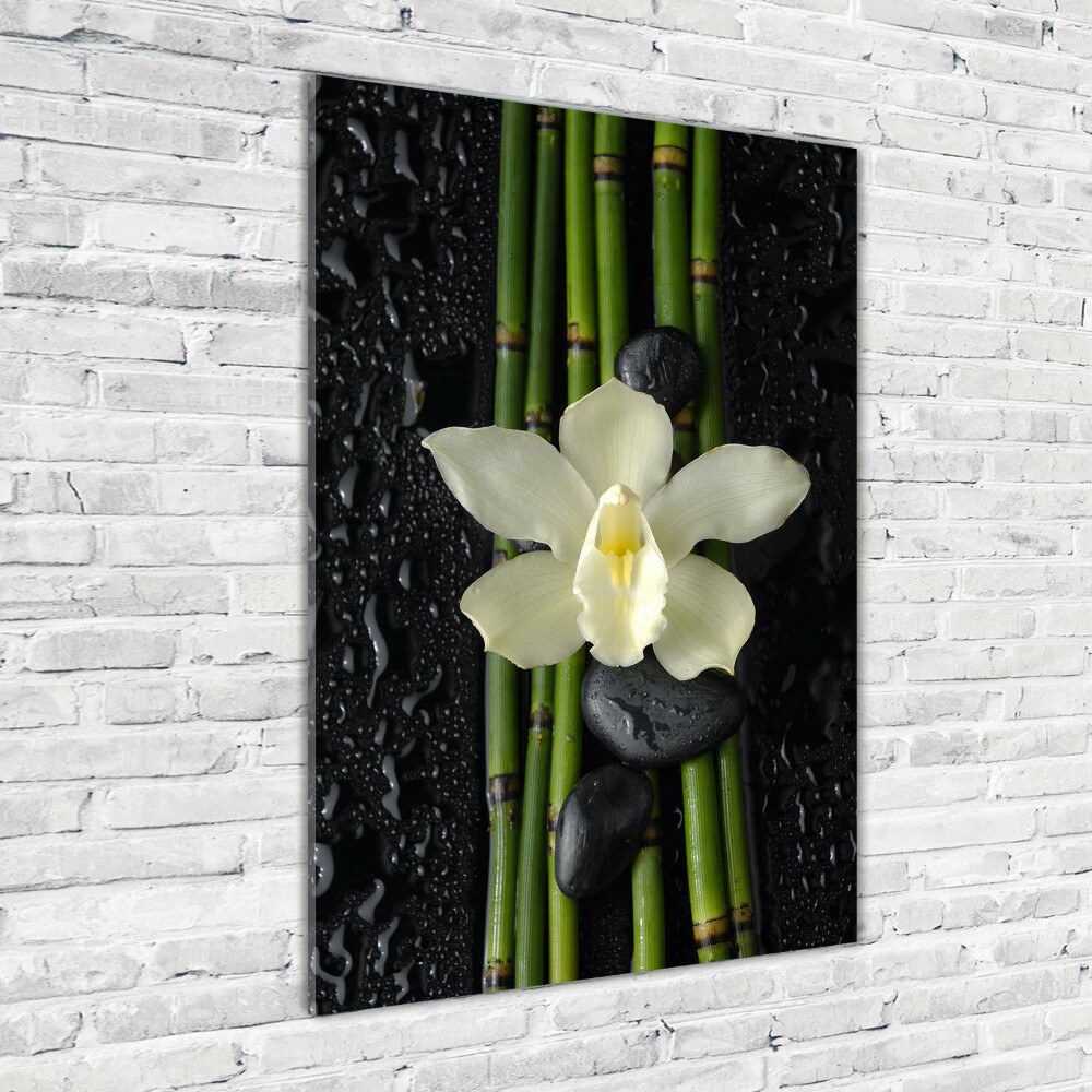 Tableau photo sur verre Orchidée et bambou