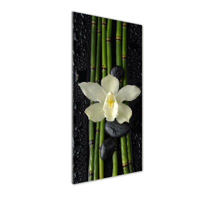 Tableau photo sur verre Orchidée et bambou