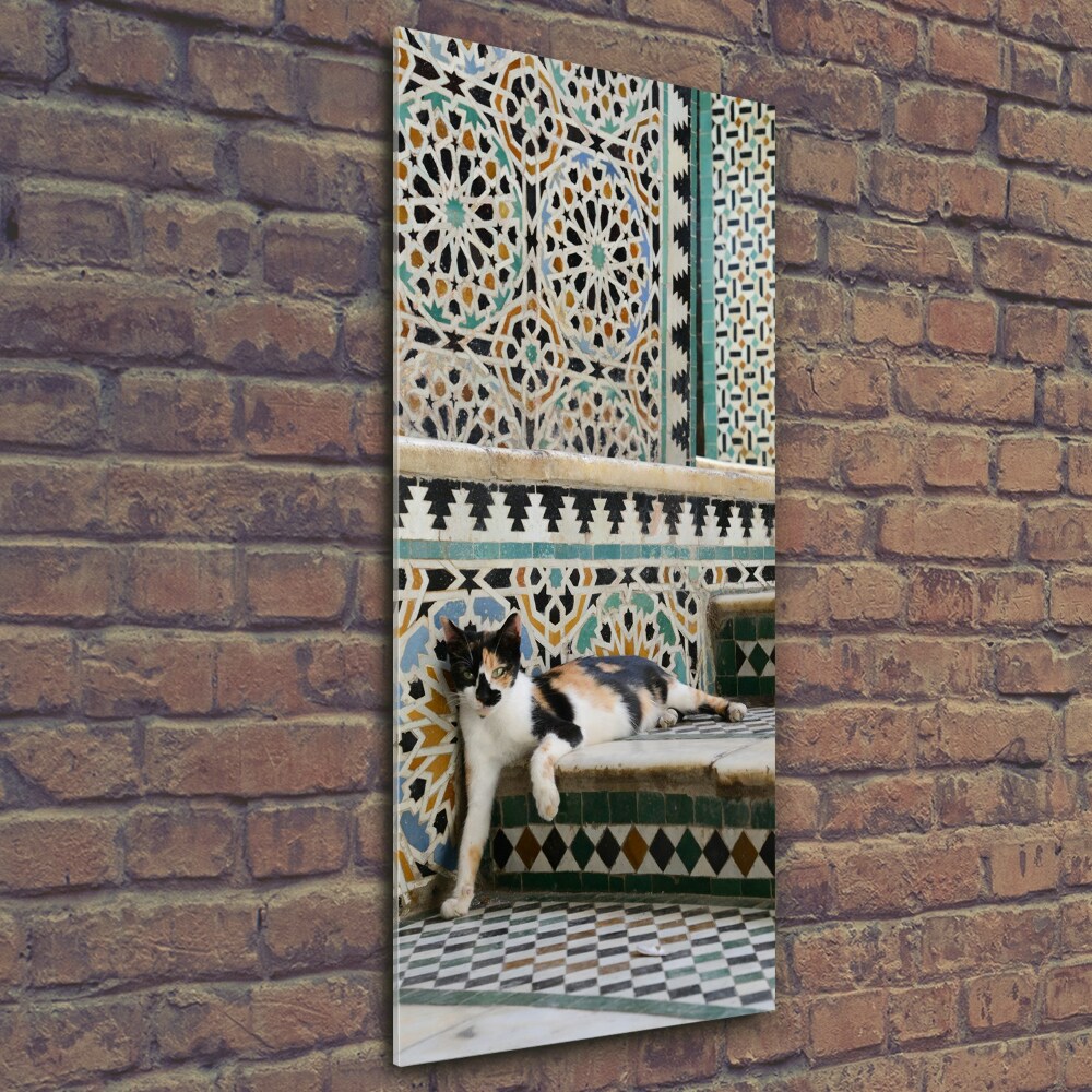 Tableau imprimé sur verre Chat marocain