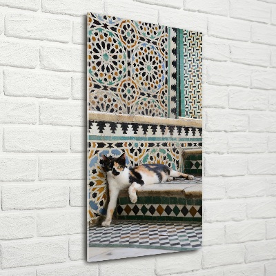 Tableau imprimé sur verre Chat marocain