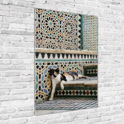 Tableau imprimé sur verre Chat marocain