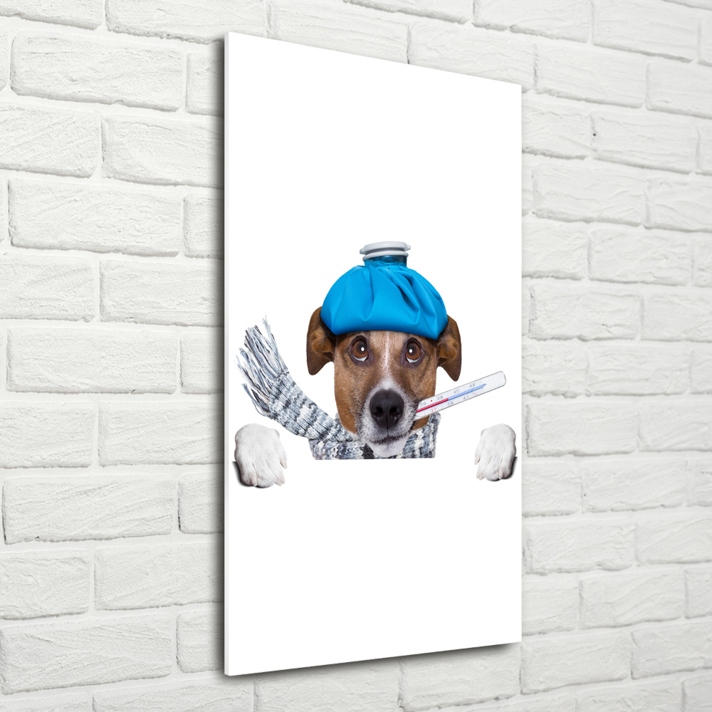 Tableau verre imprimé Chien malade