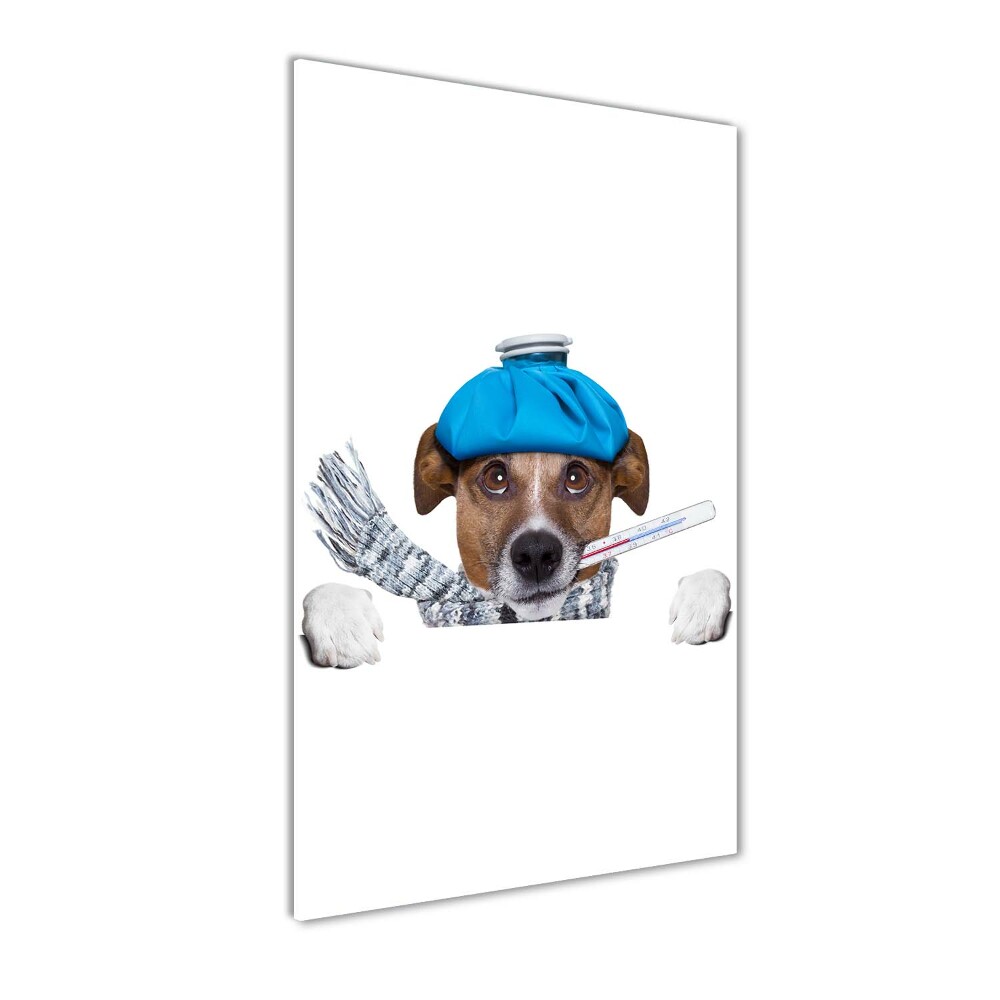 Tableau verre imprimé Chien malade