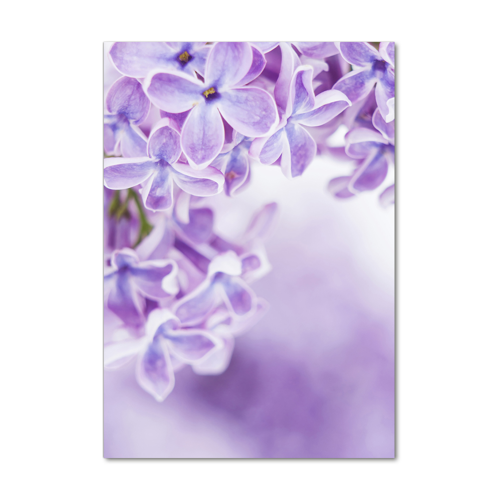 Tableau imprimé sur verre Fleurs de lilas