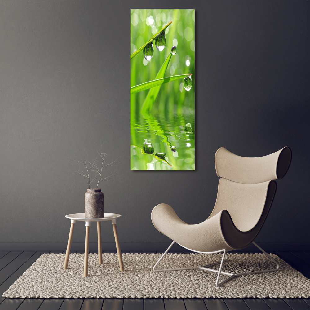 Tableau sur verre Tiges d'herbe