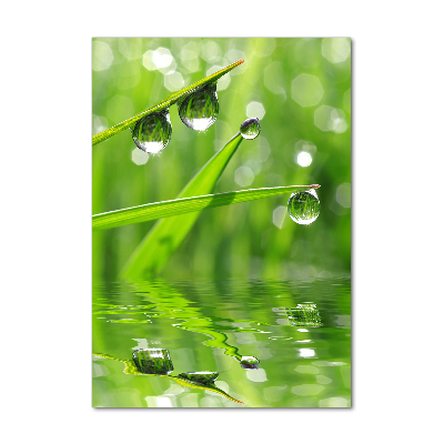 Tableau sur verre Tiges d'herbe