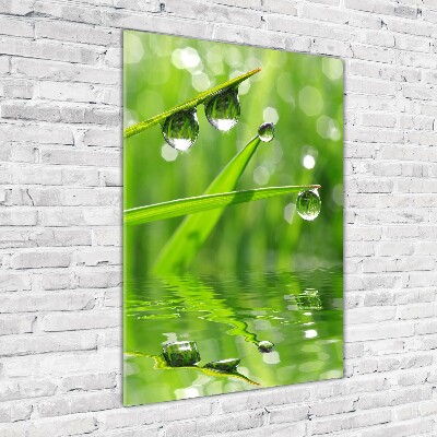 Tableau sur verre Tiges d'herbe