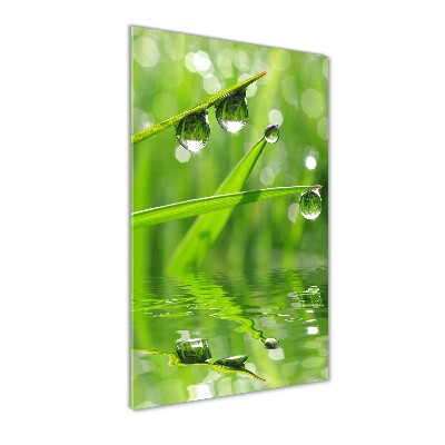 Tableau sur verre Tiges d'herbe