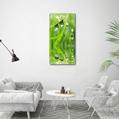 Tableau sur verre Tiges d'herbe