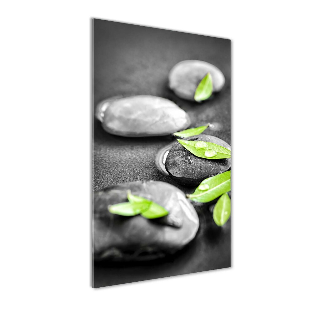 Tableau photo sur verre Feuilles de pierre zen