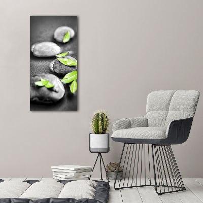 Tableau photo sur verre Feuilles de pierre zen