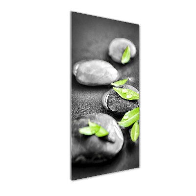 Tableau photo sur verre Feuilles de pierre zen