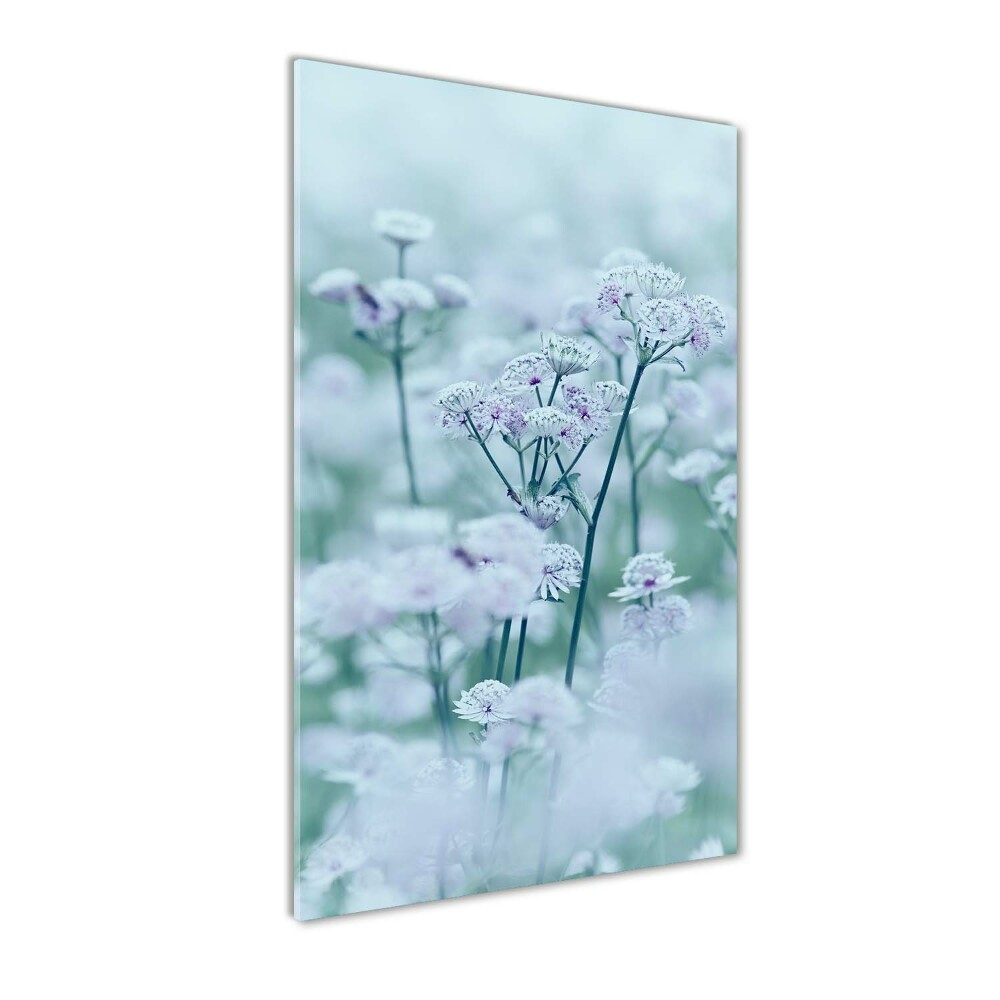 Tableau imprimé sur verre Herbe aux sorbiers