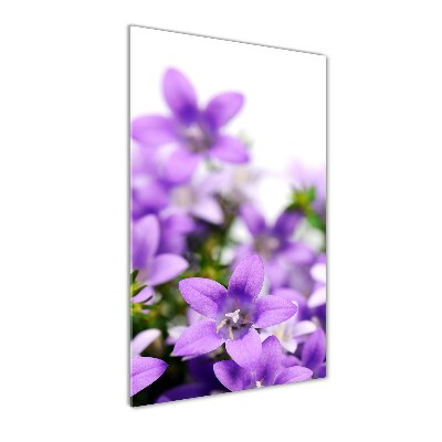 Tableau photo sur verre Cloches violettes