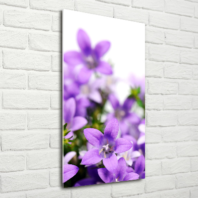 Tableau photo sur verre Cloches violettes