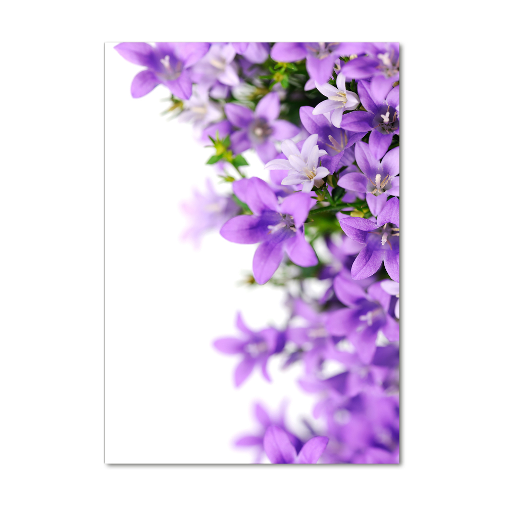 Tableau photo sur verre Cloches violettes