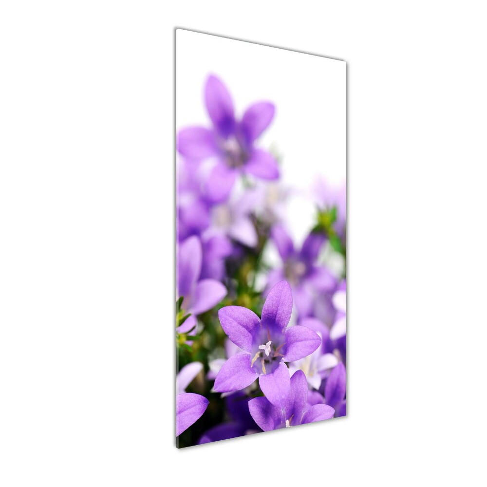 Tableau photo sur verre Cloches violettes