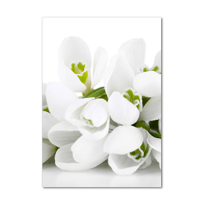 Tableau sur verre Perce-neige blanc