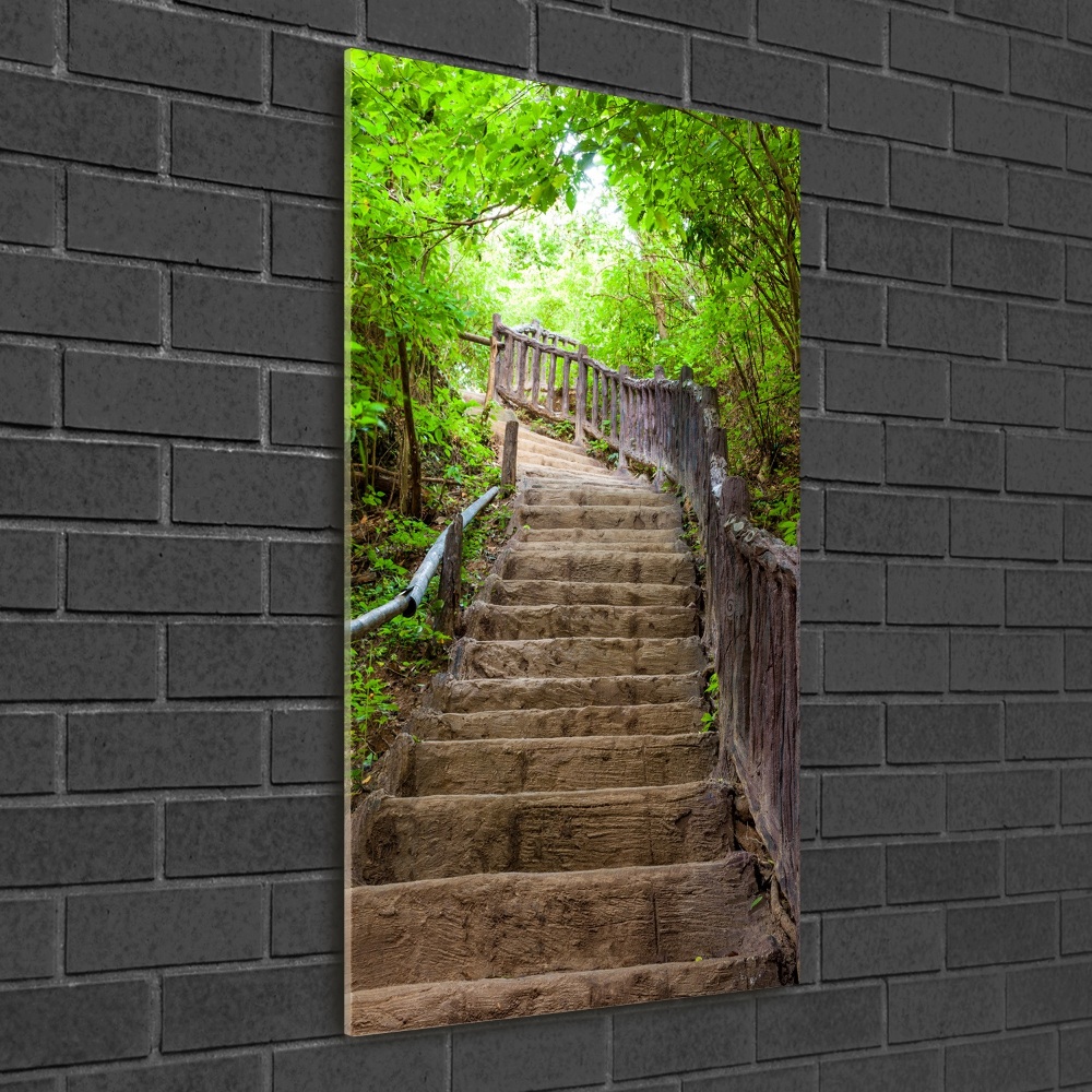 Tableau sur verre Marches dans la forêt