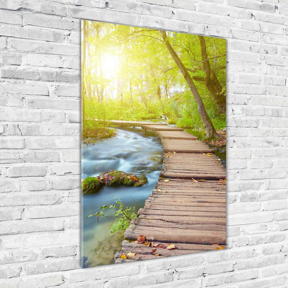 Tableau sur verre Chemin dans la forêt