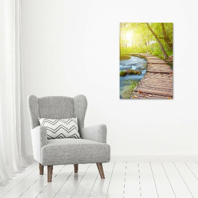 Tableau sur verre Chemin dans la forêt