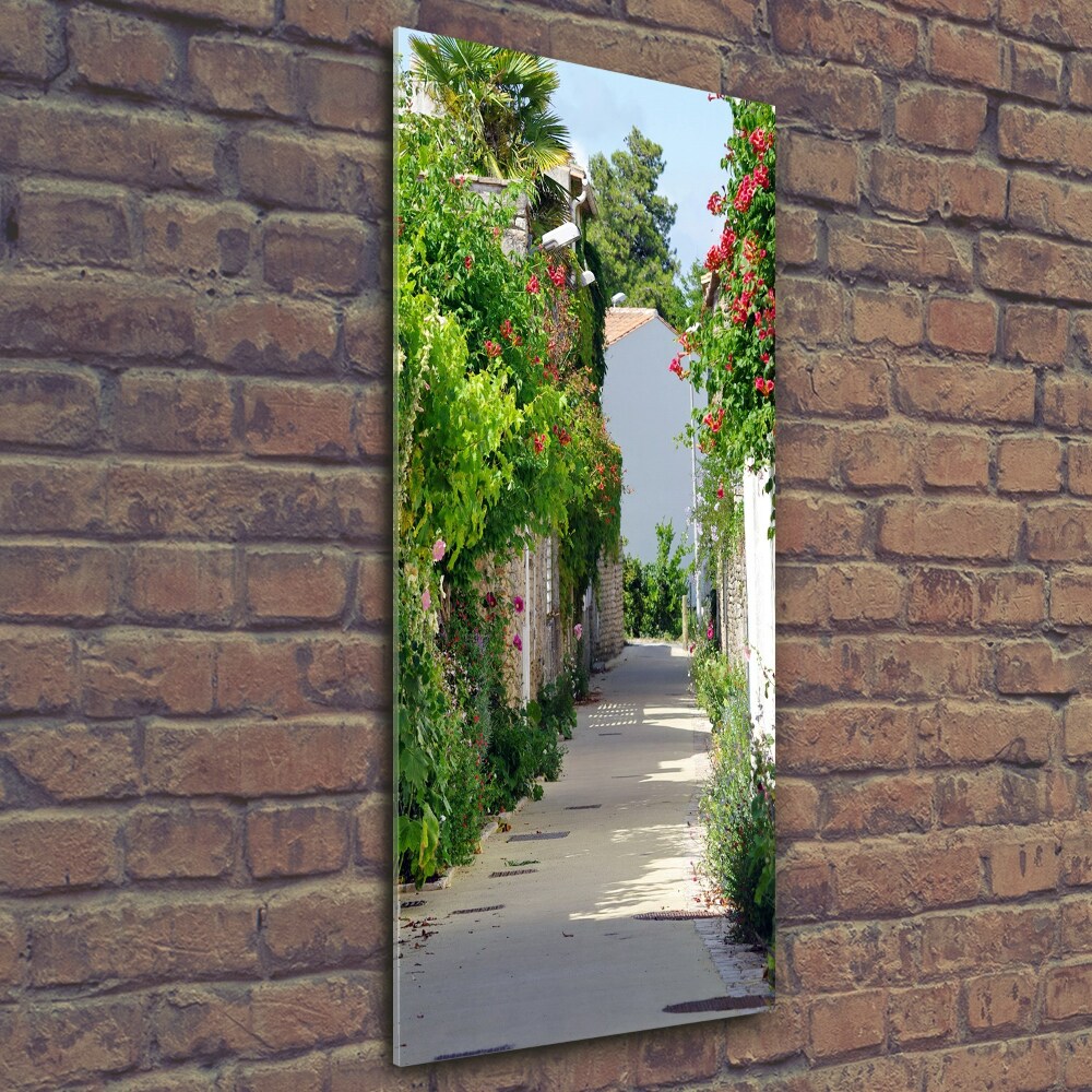 Tableau photo sur verre Rues françaises