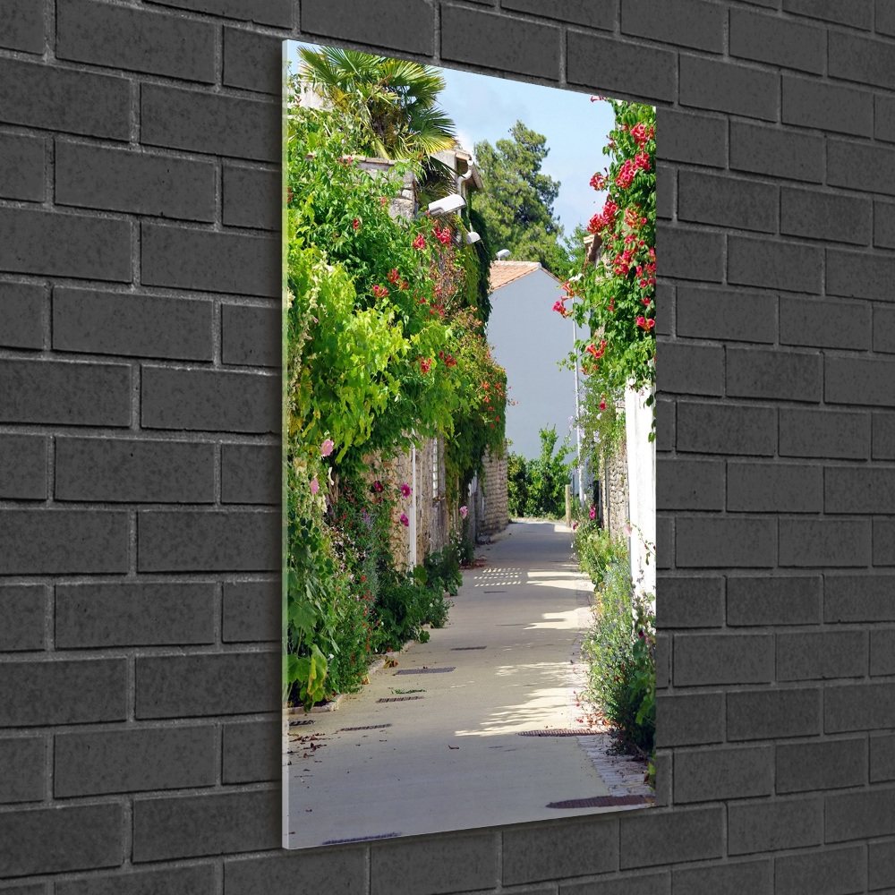 Tableau photo sur verre Rues françaises