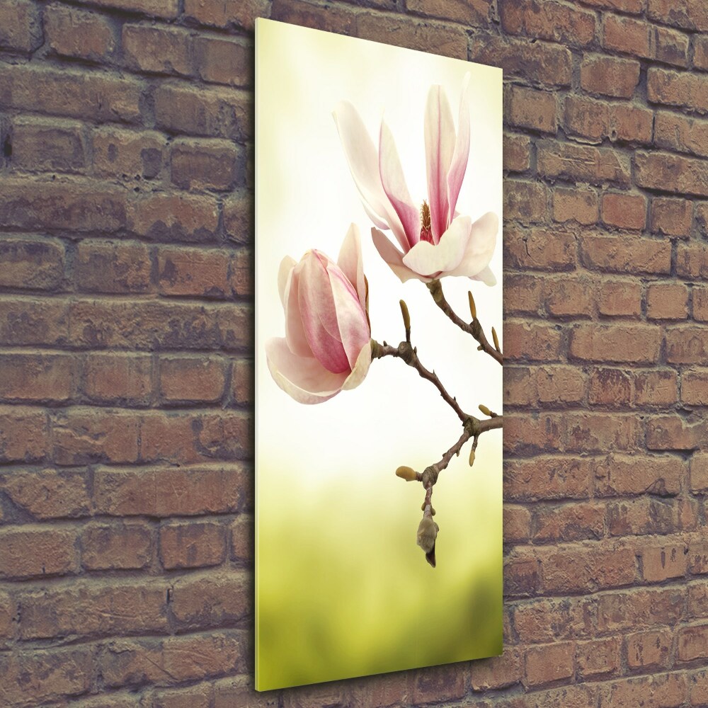 Tableau sur verre Fleurs de magnolias