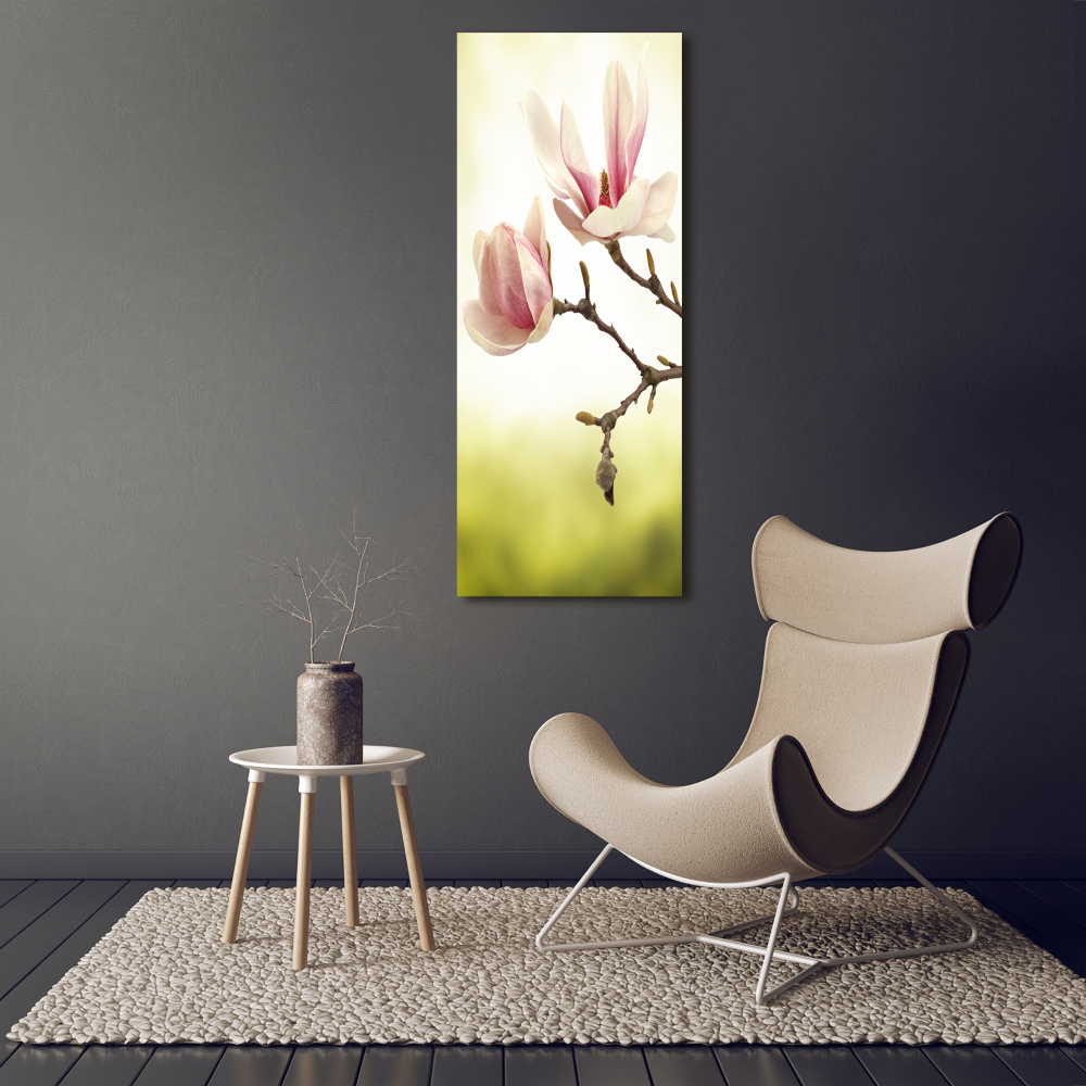 Tableau sur verre Fleurs de magnolias