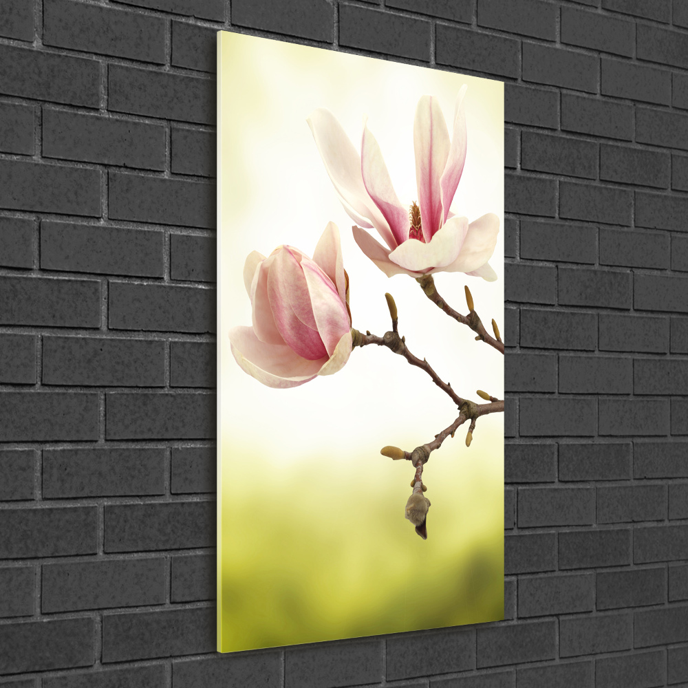 Tableau sur verre Fleurs de magnolias