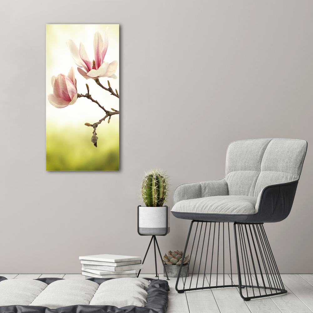 Tableau sur verre Fleurs de magnolias