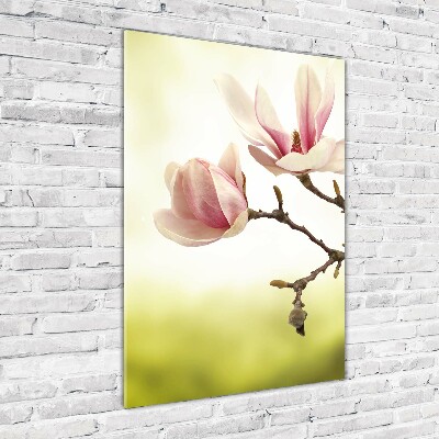 Tableau sur verre Fleurs de magnolias