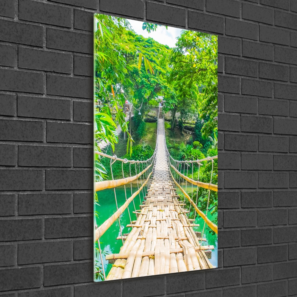 Tableau photo sur verre Pont de la jungle