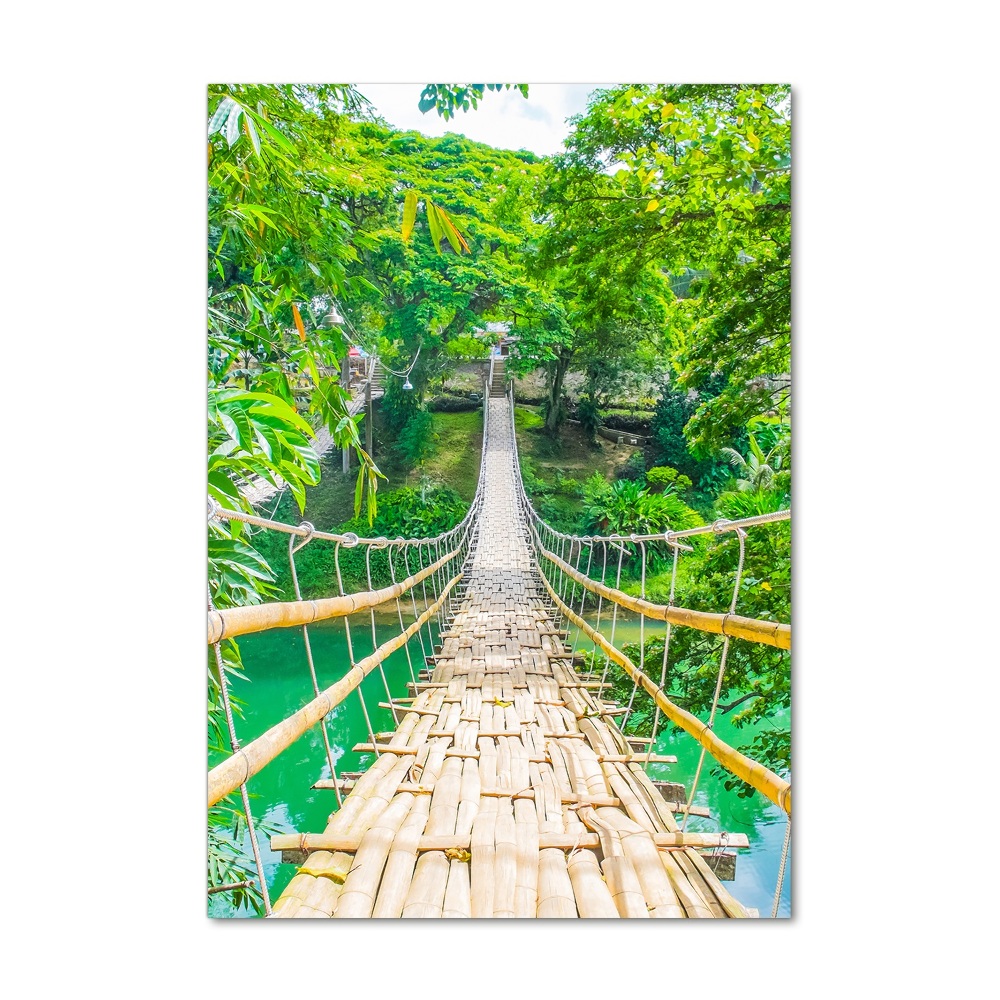 Tableau photo sur verre Pont de la jungle