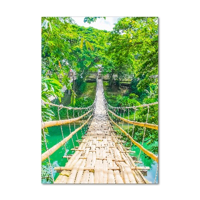 Tableau photo sur verre Pont de la jungle