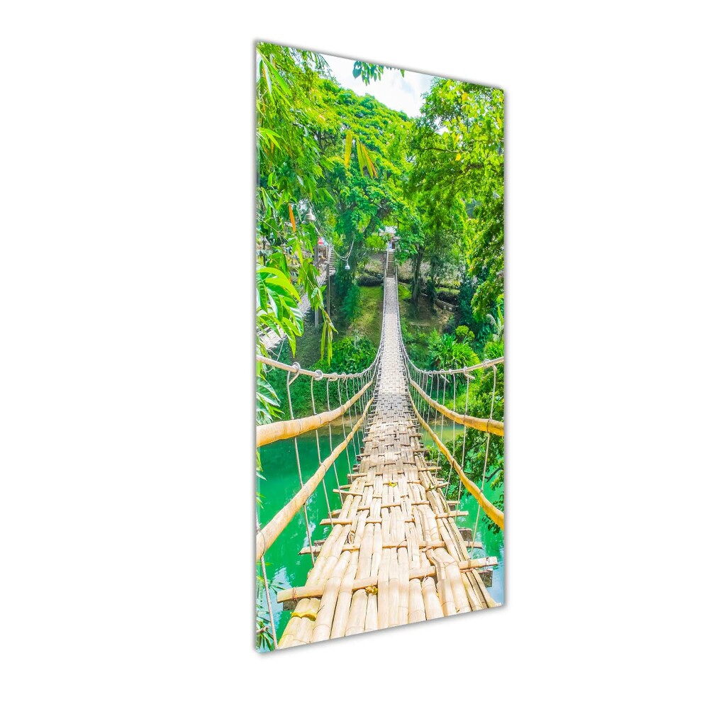 Tableau photo sur verre Pont de la jungle