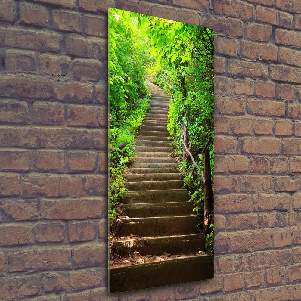 Tableau imprimé sur verre Escalier dans la forêt