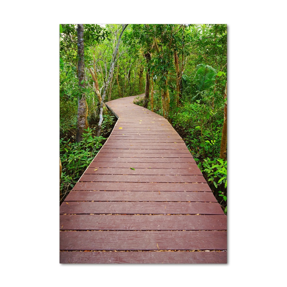 Tableau en verre Chemin de la jungle