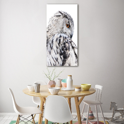 Tableau verre imprimé Hibou blanc