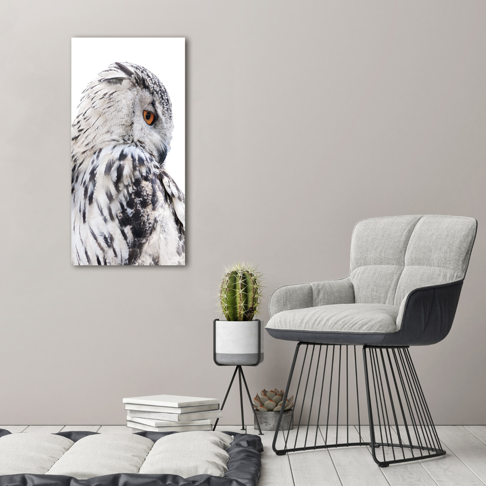 Tableau verre imprimé Hibou blanc