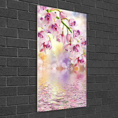 Tableau verre imprimé Orchidée