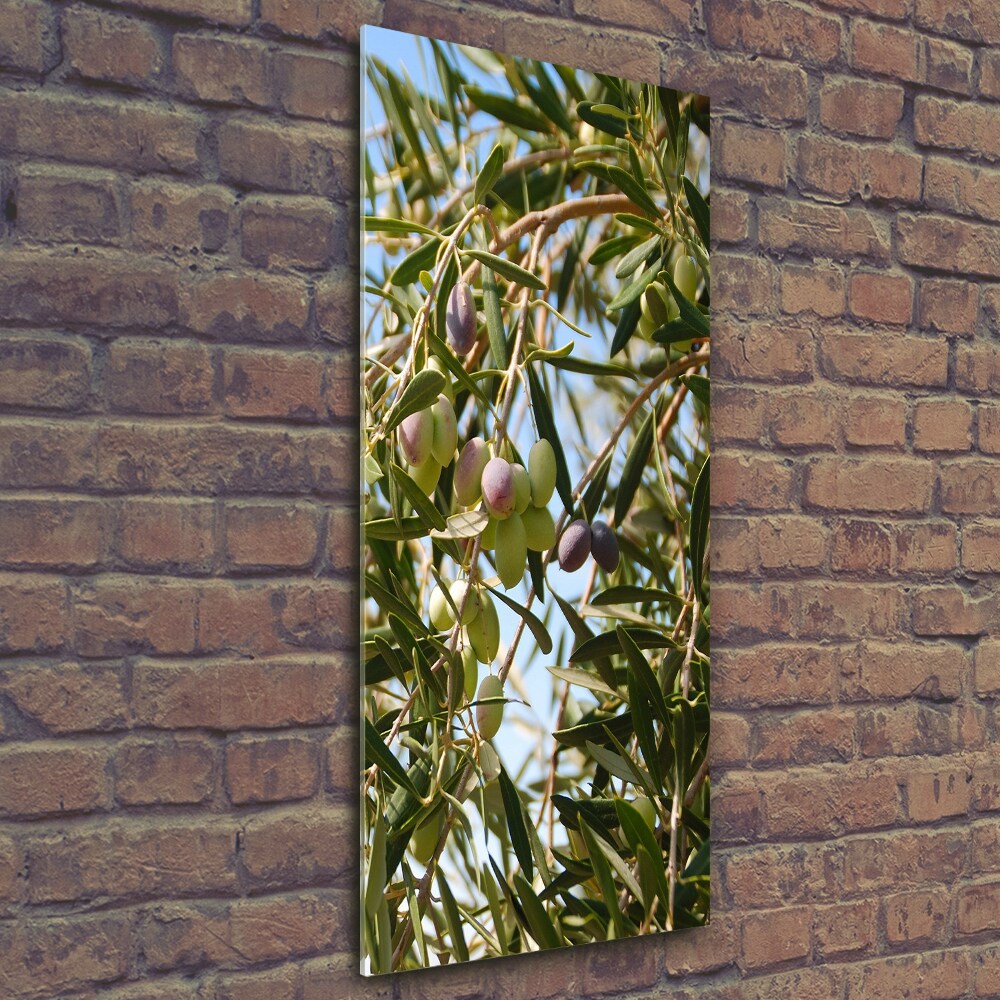 Tableau sur verre Olives sur un arbre