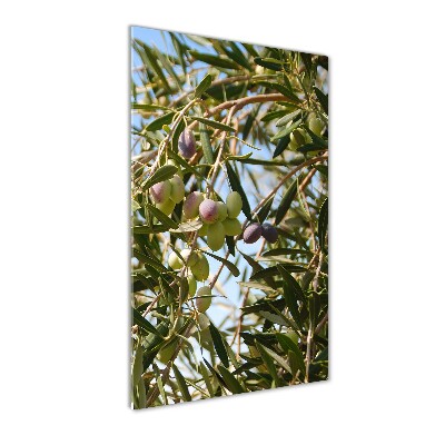 Tableau sur verre Olives sur un arbre