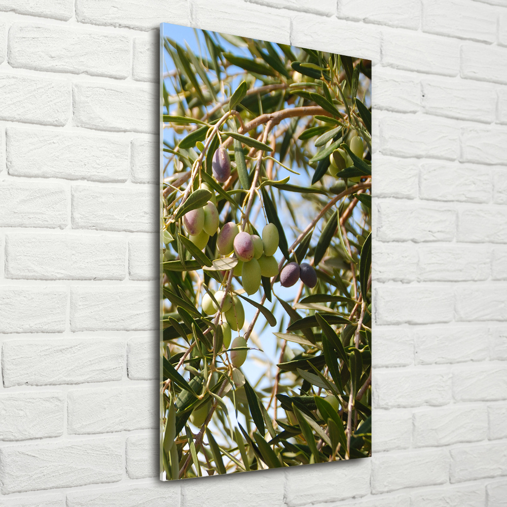 Tableau sur verre Olives sur un arbre