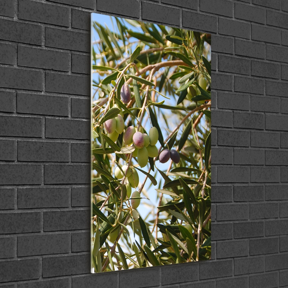 Tableau sur verre Olives sur un arbre