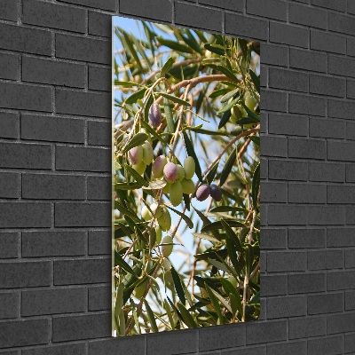 Tableau sur verre Olives sur un arbre