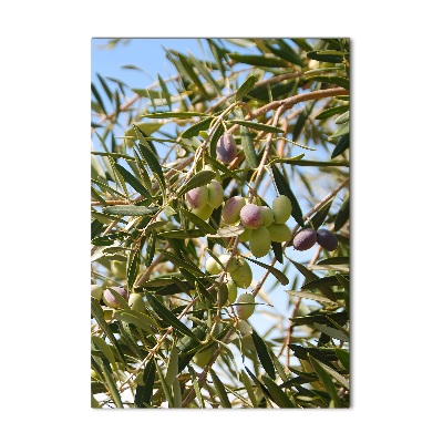 Tableau sur verre Olives sur un arbre